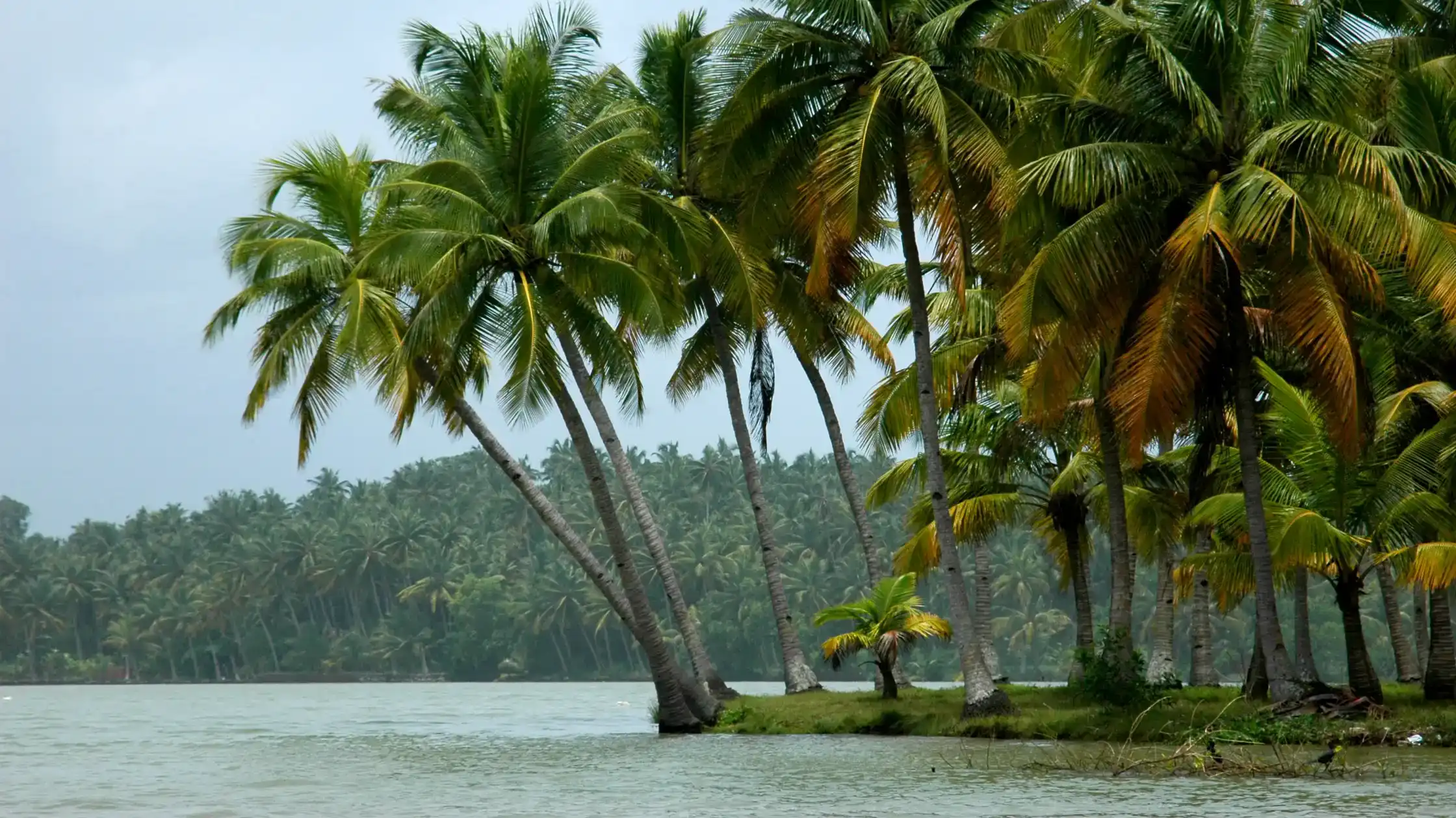 Konaseema Cuisine menu